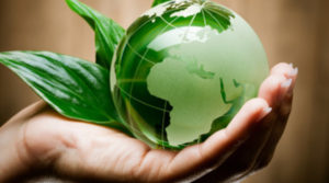 impatto ambientale