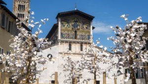 Lucca-Facciata S. Frediano