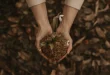 Generazione Terra