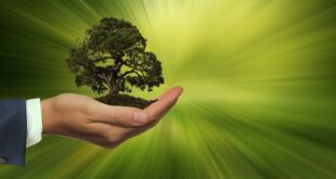 investimenti sostenibili