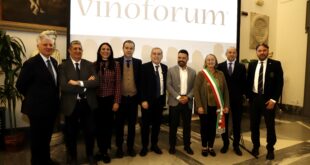 vinoforum