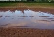 agricoltura