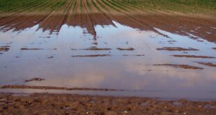 rischi in agricoltura