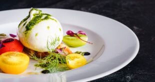 burrata