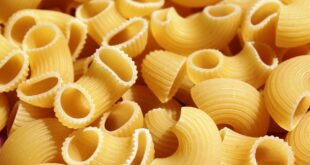pasta