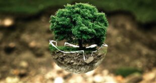 sviluppo sostenibile