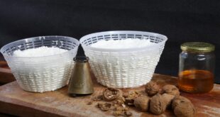 agroalimentare italiano