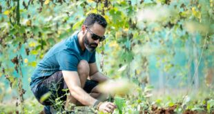 imprenditore agricolo