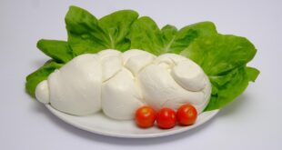 mozzarella