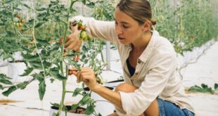 ricambio generazionale in agricoltura