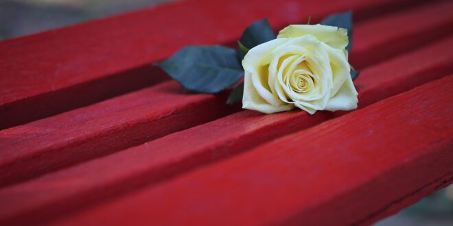 violenza contro le donne