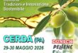 expolivo