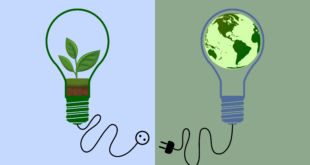 bando
