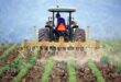 agricoltura