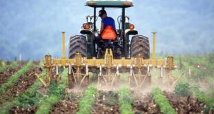 agricoltura