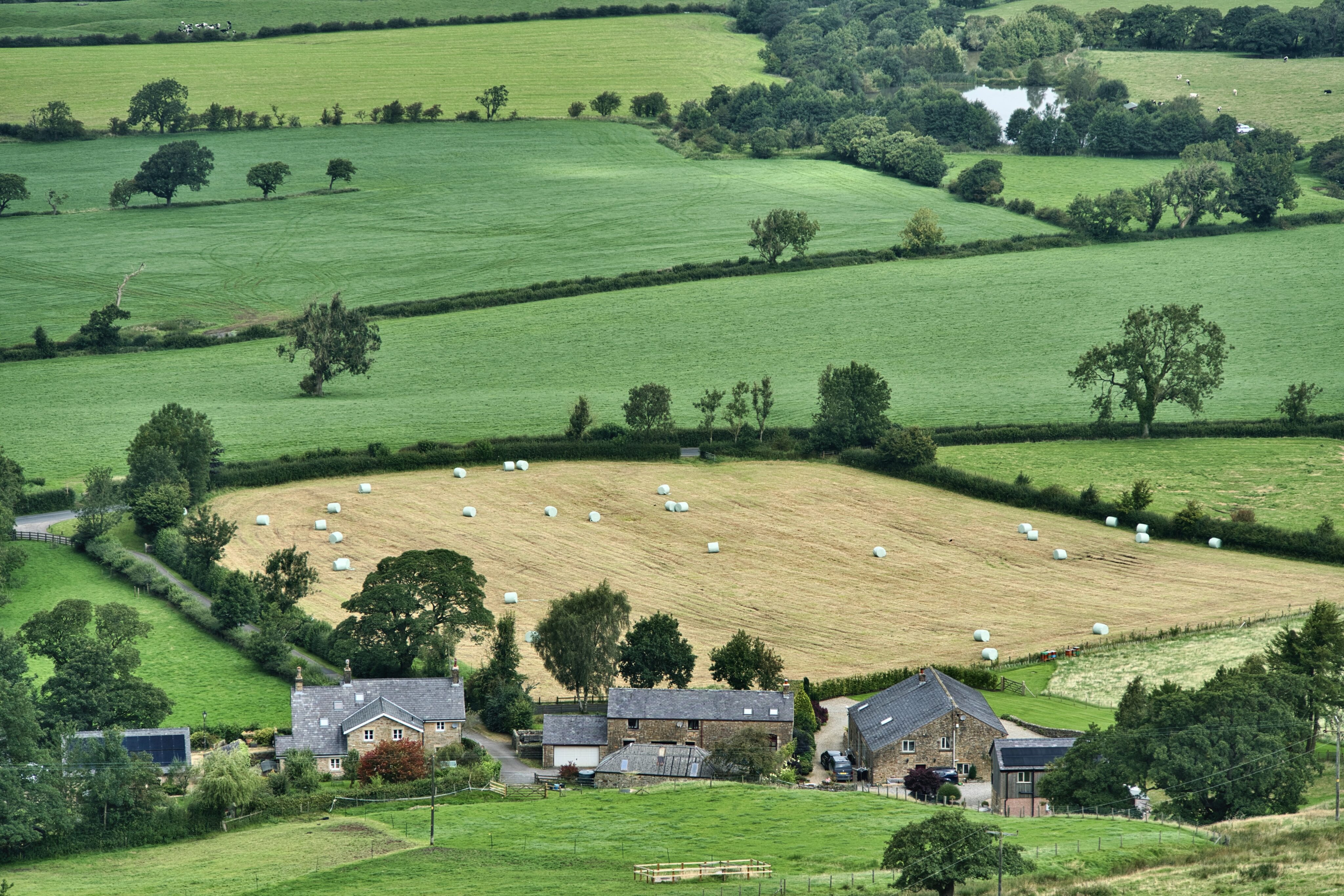 aziende agricole